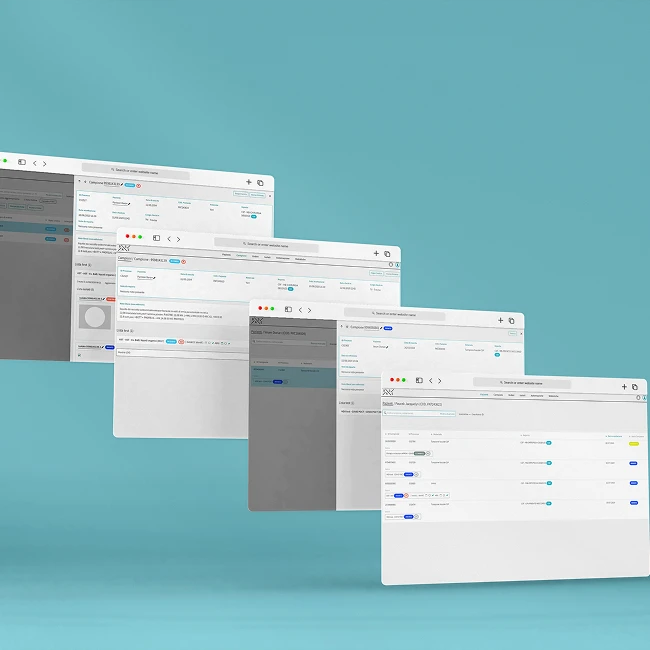 Mockup di alcune schermate del software "base"