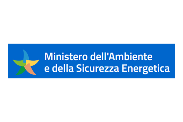 Logo MASE
